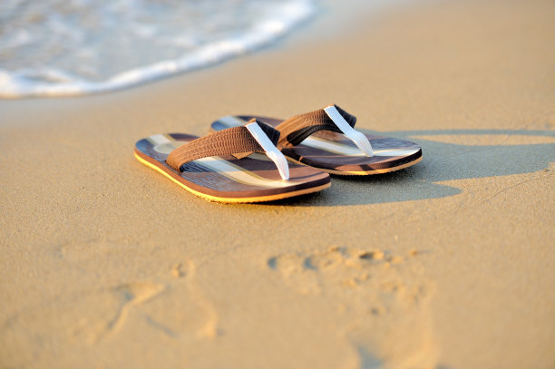 暑假的概念图片下载