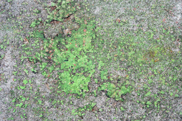 枯燥乏味的地板图片下载