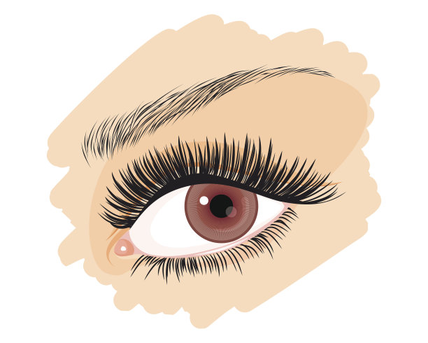 女孩的棕色眼睛图片下载