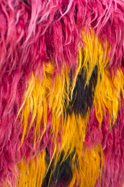 羊皮染色图片下载