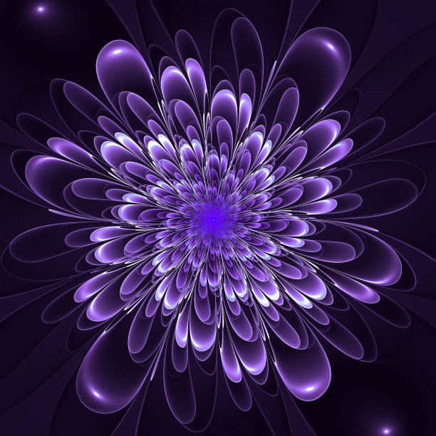 美丽茂盛的紫罗兰花在相同的背景。图片下载