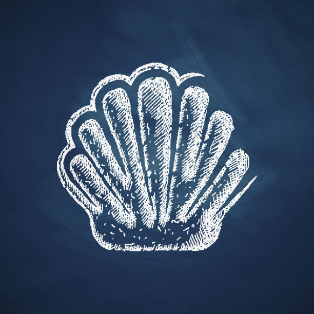 壳图标图片下载