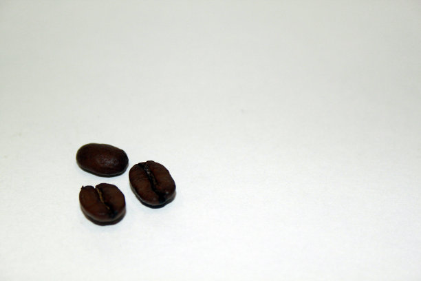 三个咖啡豆图片下载