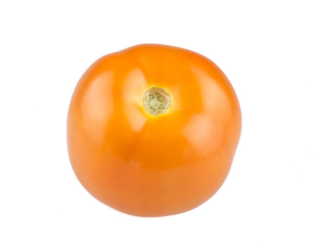 白色背景上的新鲜番茄图片下载