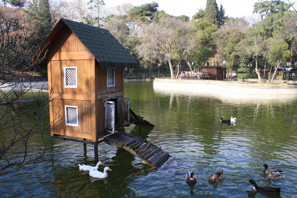 鸭子的房子图片下载