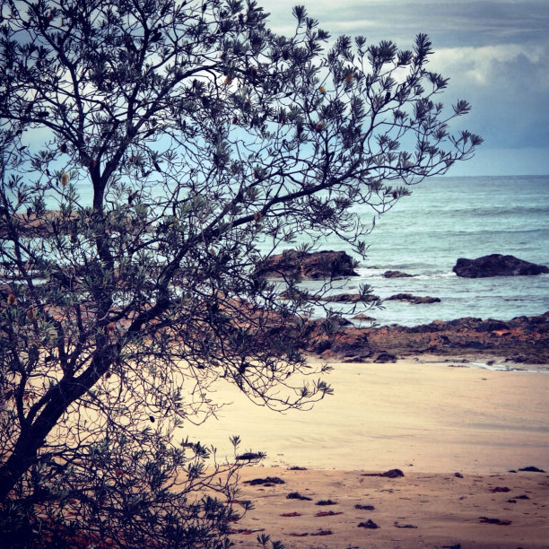 美丽的海滩图片下载