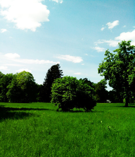 绿色快乐。图片下载