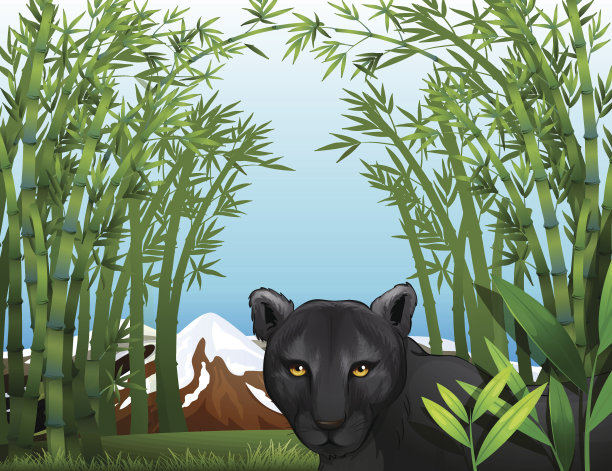 黑豹在竹林里图片下载