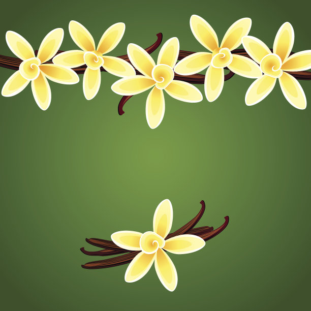 香草鲜花图片下载