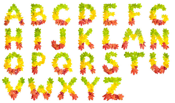 英文字母，彩色字体做成的秋叶，照片图片下载