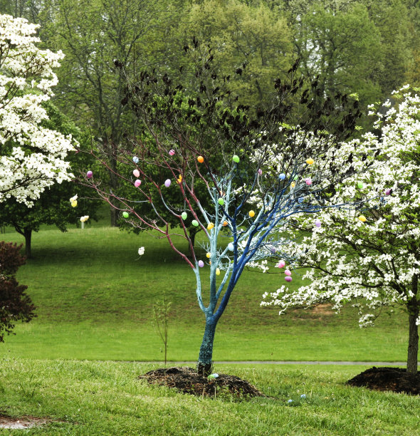 复活节的惊喜图片下载