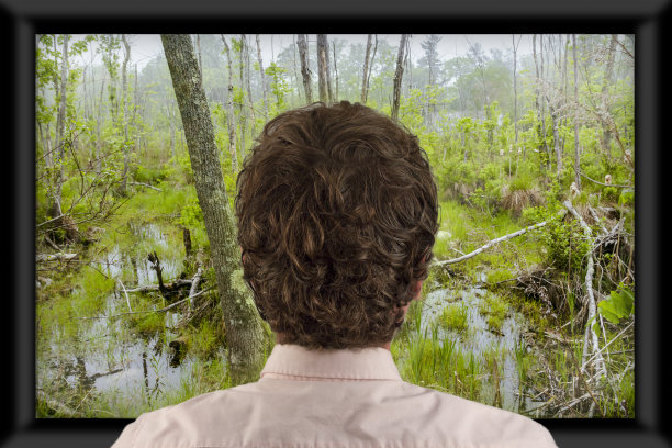 看电视图片下载