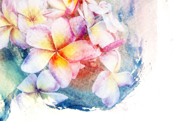 花水彩插图。图片下载