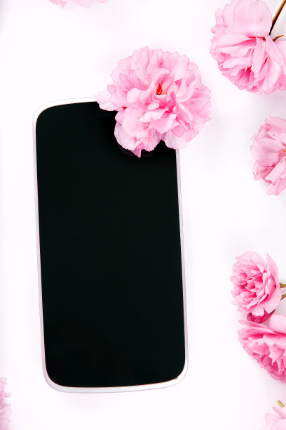 手机周围环绕着粉红色的樱花图片下载