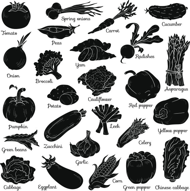 影子配菜，矢量卡通贴纸素材图片