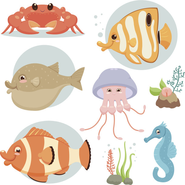 海洋鱼类收藏图片下载