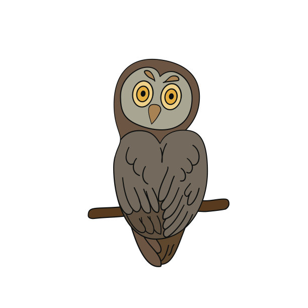 有趣的坐在猫头鹰图片下载