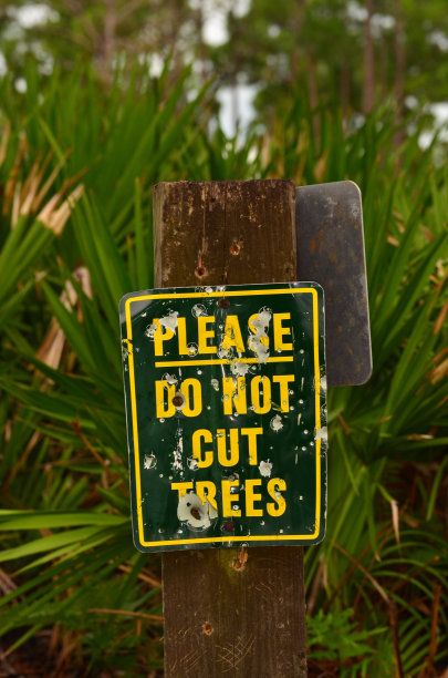 弹出“请勿砍伐树木”的标志，背景是森林图片下载