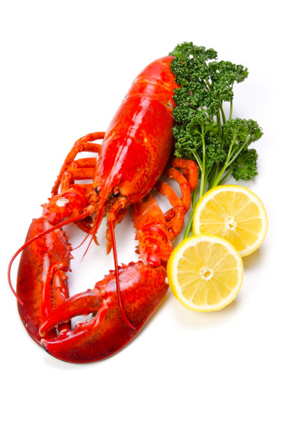 煮熟的龙虾图片下载