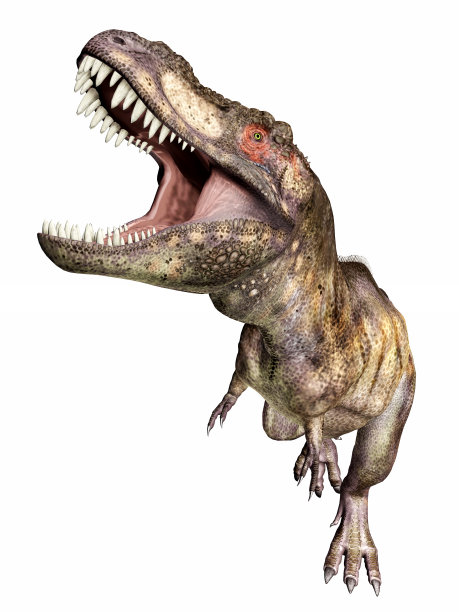 雷克斯霸王龙图片下载