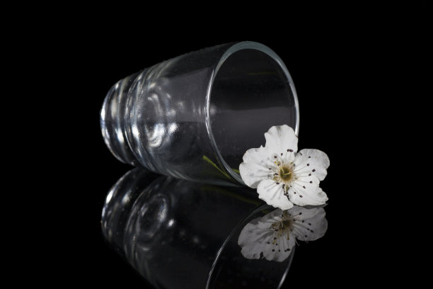 小的花图片下载