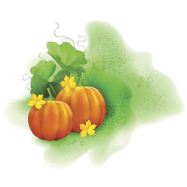 水彩向量南瓜图片下载