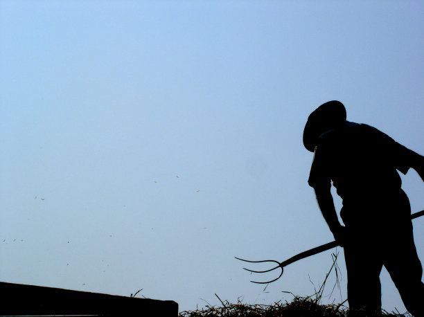 好老时尚，勤劳的人图片下载