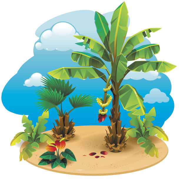 岛上的风景图片下载