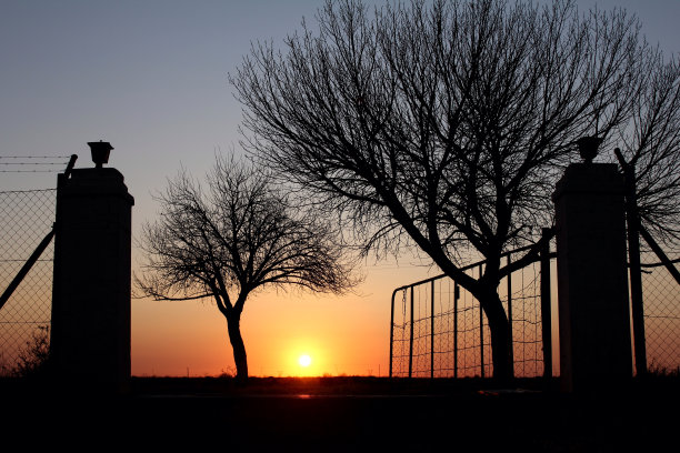 日落时大门和树的剪影图片下载
