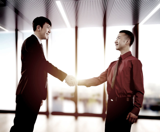 典雅的商务人士在会议厅握手的肖像图片下载