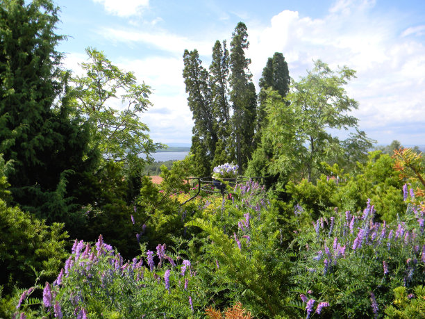 瑞典的乡村花园图片下载
