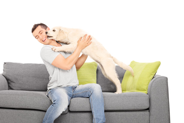 一个男人坐在沙发上和一只小狗玩图片下载