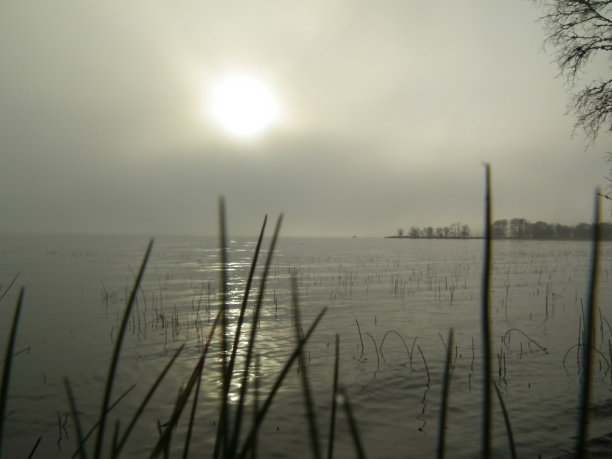 太阳在雾中越过湖面图片下载