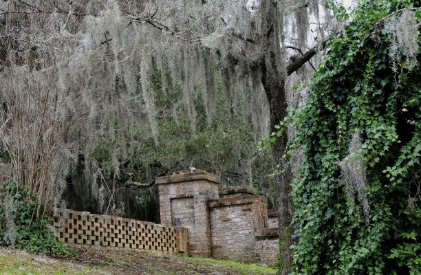 闹鬼的花园图片下载