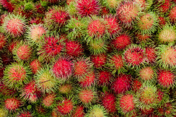 红毛丹图片下载