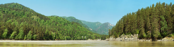 美丽明亮的夏天全景与河流和树木繁茂的海岸图片下载