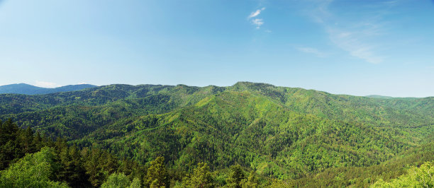 美丽的夏季高山景观与绿色的森林山脉图片下载