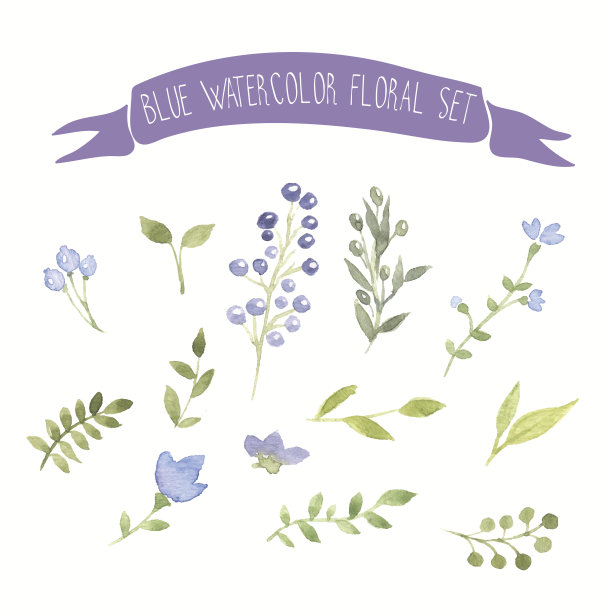 蓝色水彩向量花卉集图片下载
