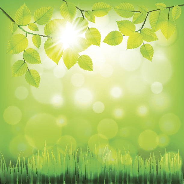 夏季自然背景以绿叶为载体图片下载