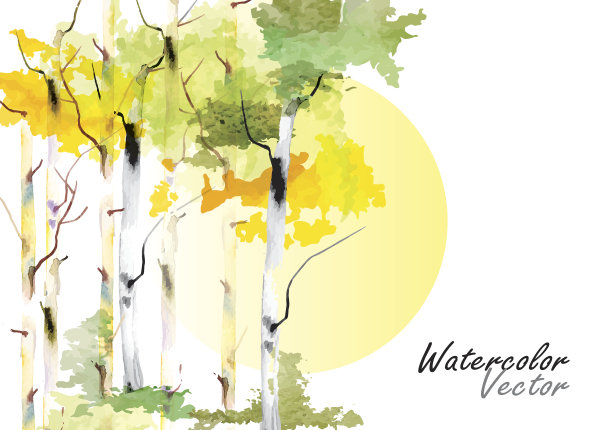 桦树，森林桦树矢量水彩笔刷手绘图片下载
