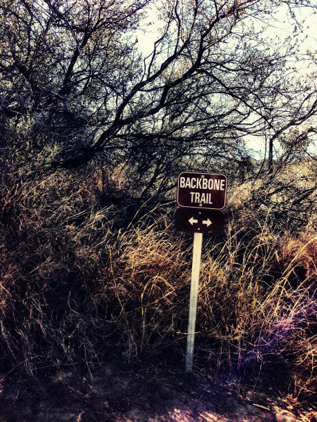 骨干小道图片下载