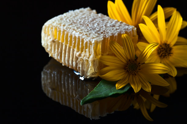 蜂蜜和菊芋的花图片下载