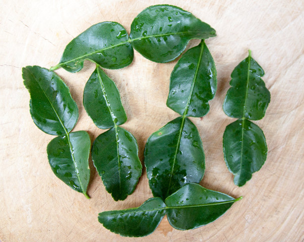 非洲高粱离开图片下载