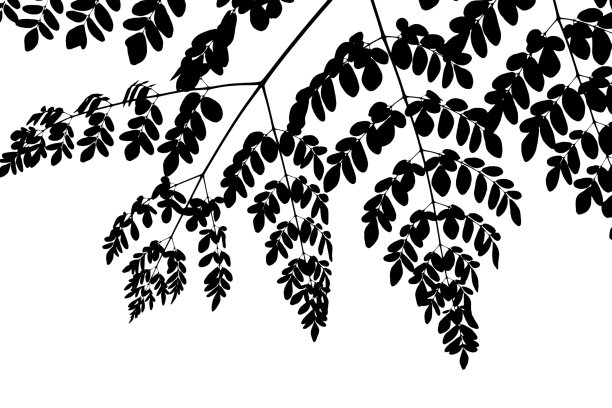 叶的背景图片下载