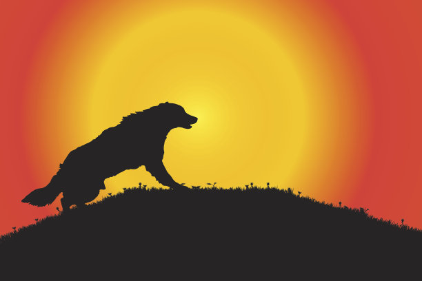 向量轮廓。图片下载