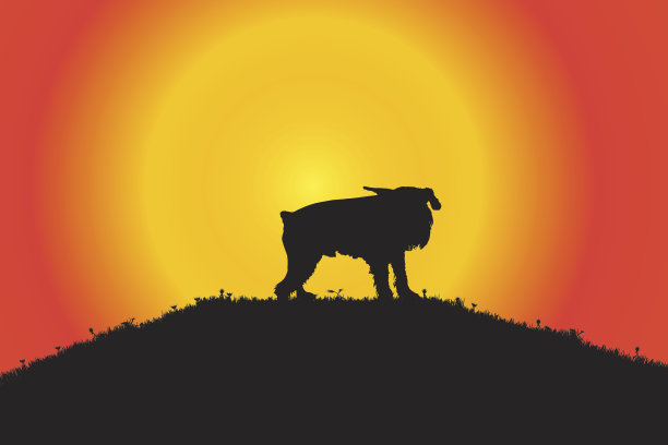 向量轮廓。图片下载