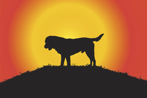 向量轮廓。图片下载