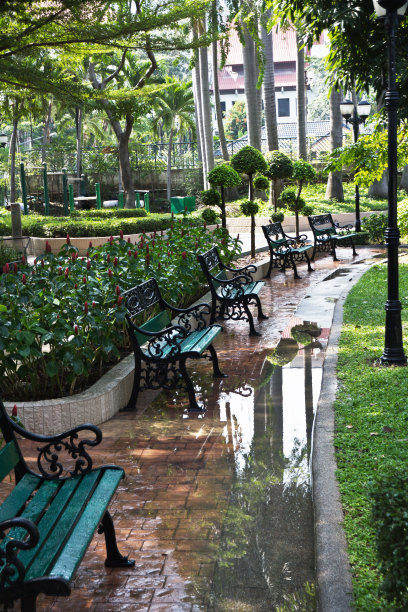 雨后的公园。图片下载
