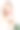 戴着白玫瑰的金发美女图片下载