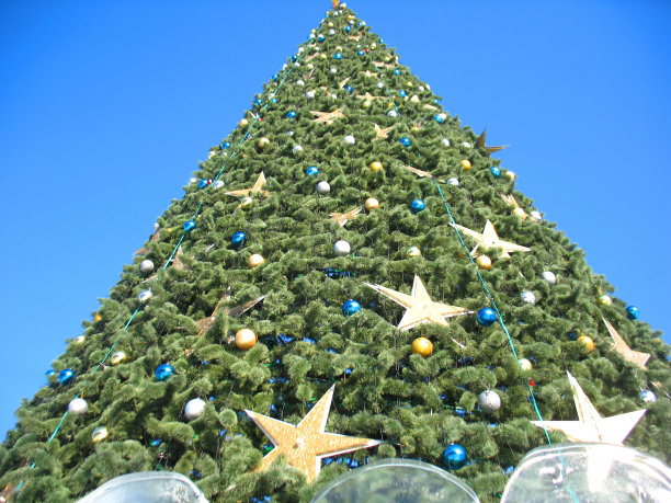 新年树图片下载